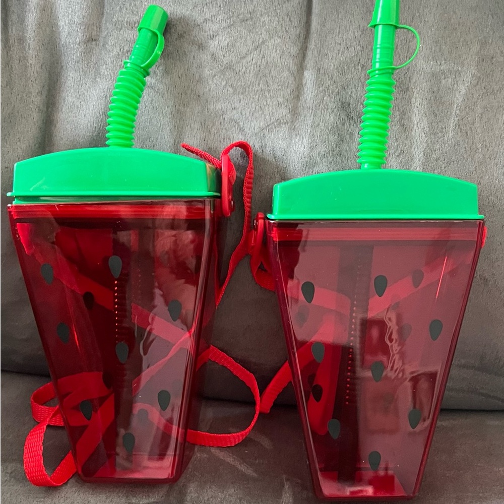 Watermelon Shaped Drink Tumblers/Canteens with Straws, Set of 2 NWT